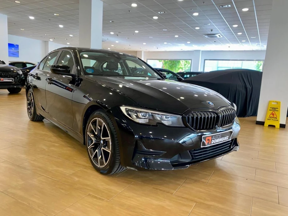 BMW Serie 3 318d Auto.