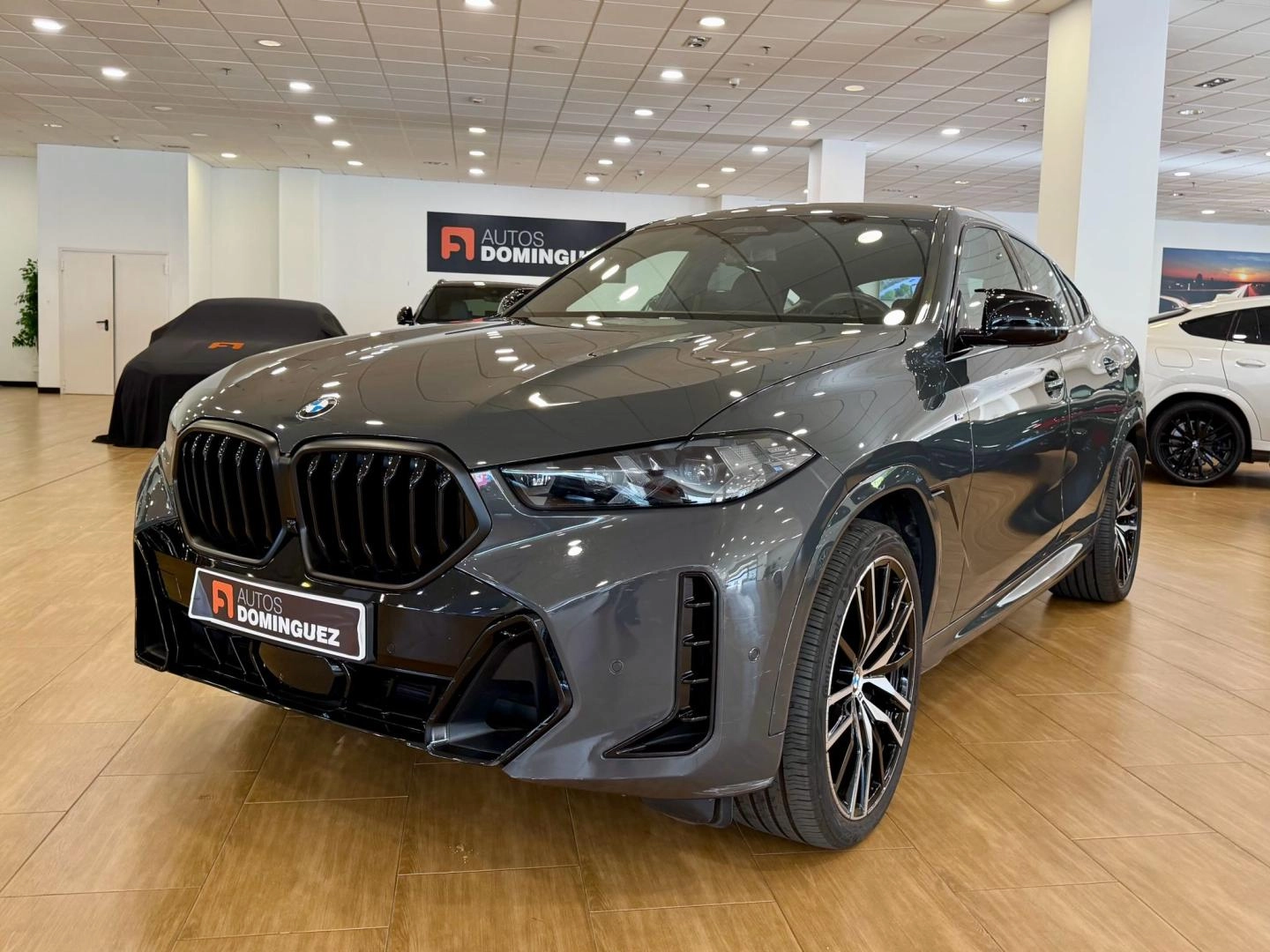 BMW X6 xDrive30d M Sport PACK M